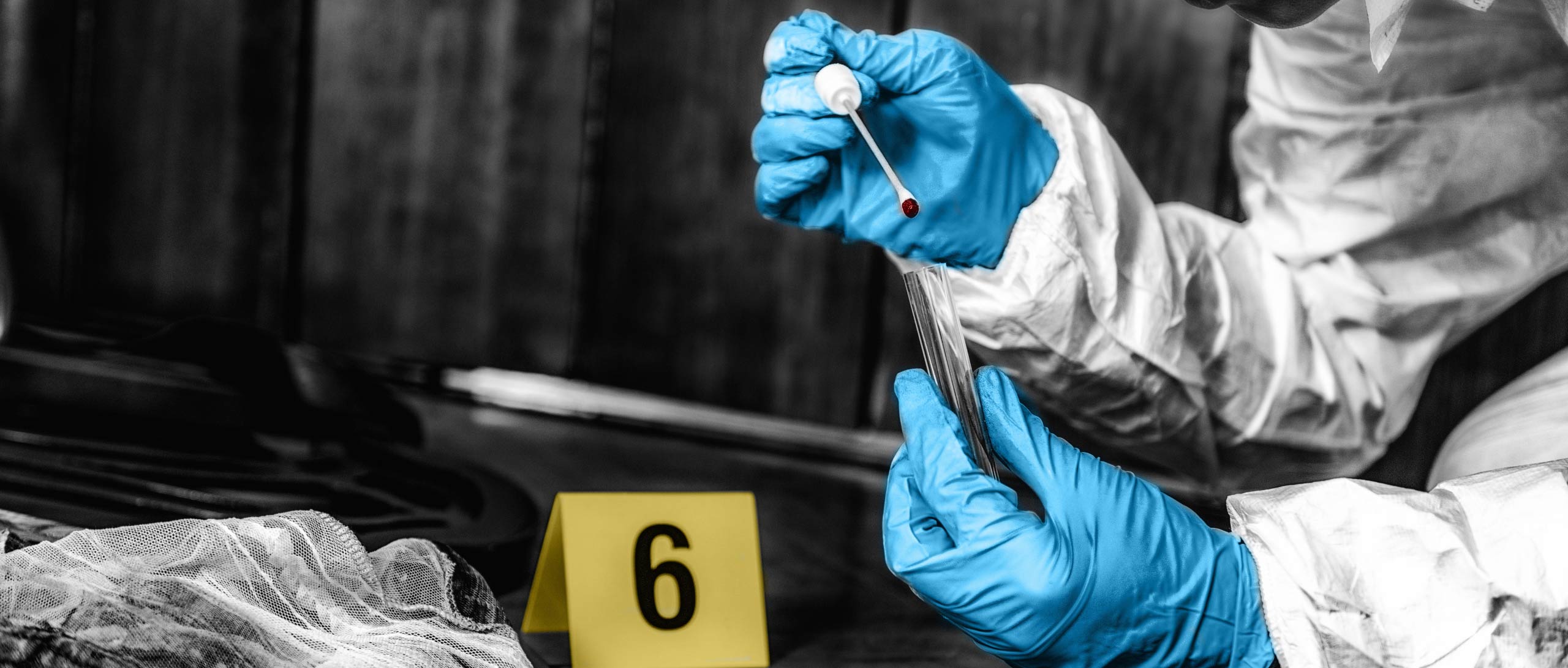 Forensics: The Science of Blood, Body Bags and Biohazards - Queensland ...