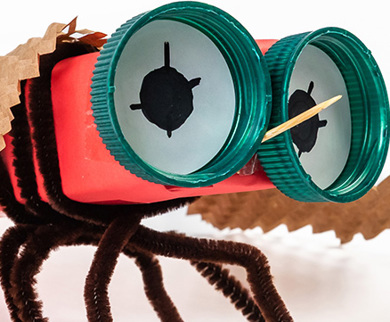 Creating A Bug Build a Bug Workshop - QTIX